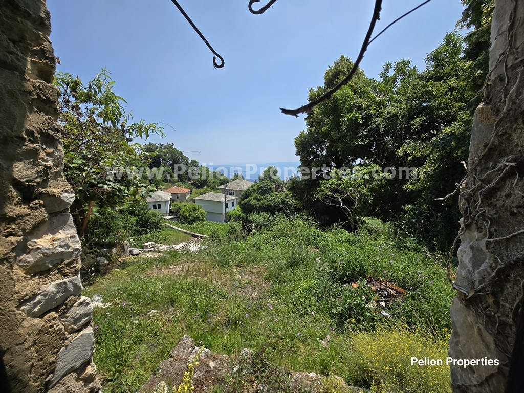 Stone, Sea, and a Second Chance - Property Pelion